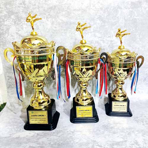 Trophy Logam Karate
